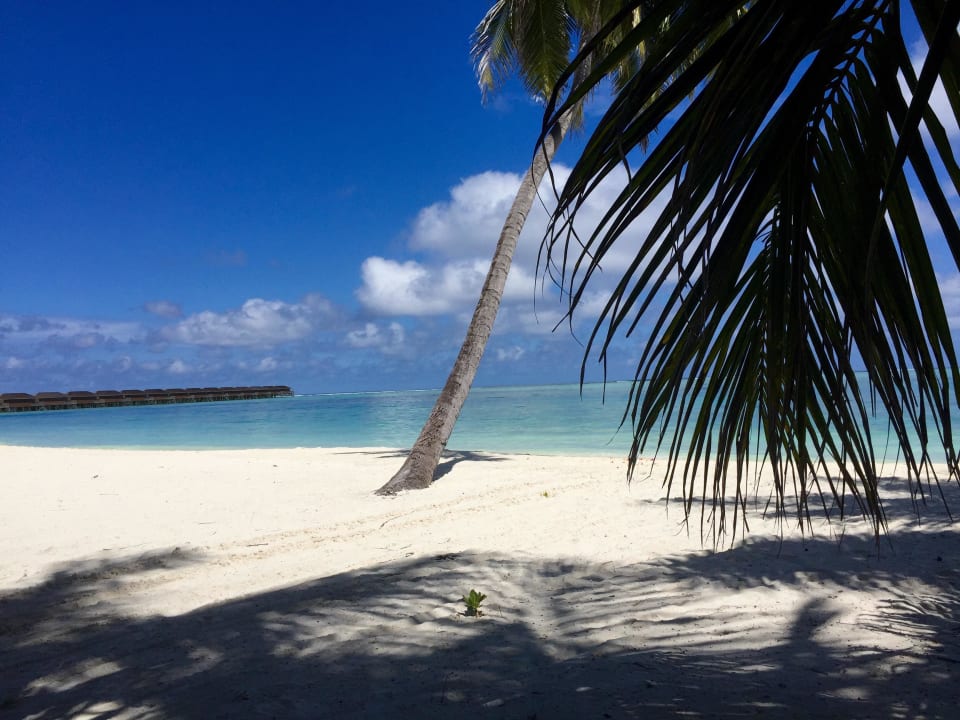 Unser Ausblick Meeru Maldives Resort Island