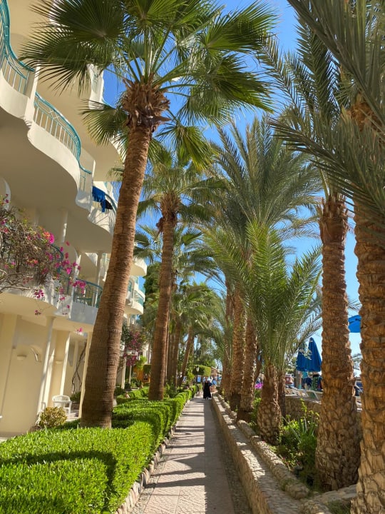 Gartenanlage Bella Vista Resort Hurghada