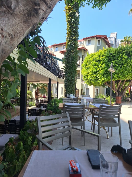 Gartenanlage Hotel Gardenia Beach