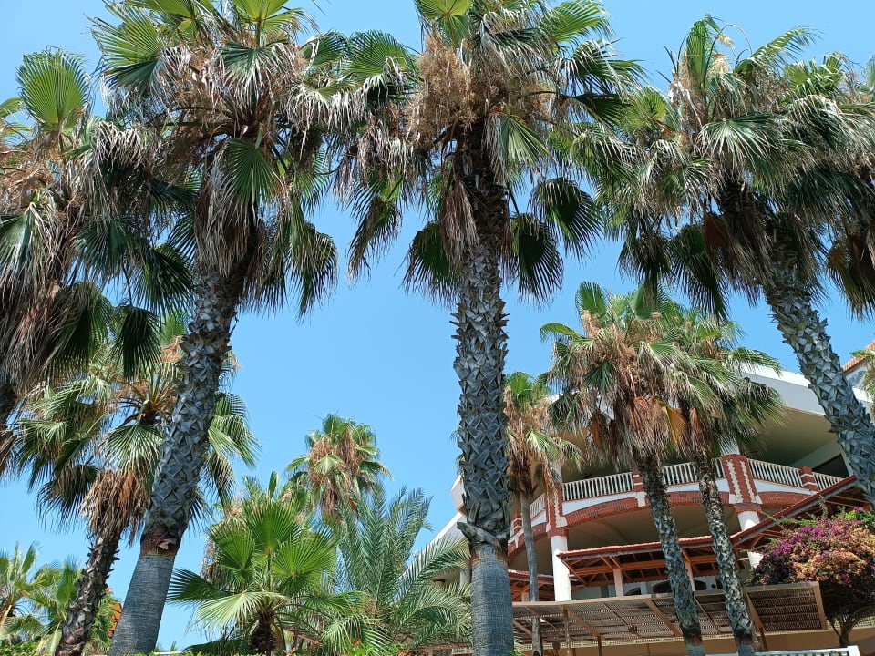 Gartenanlage Hotel Defne Dream