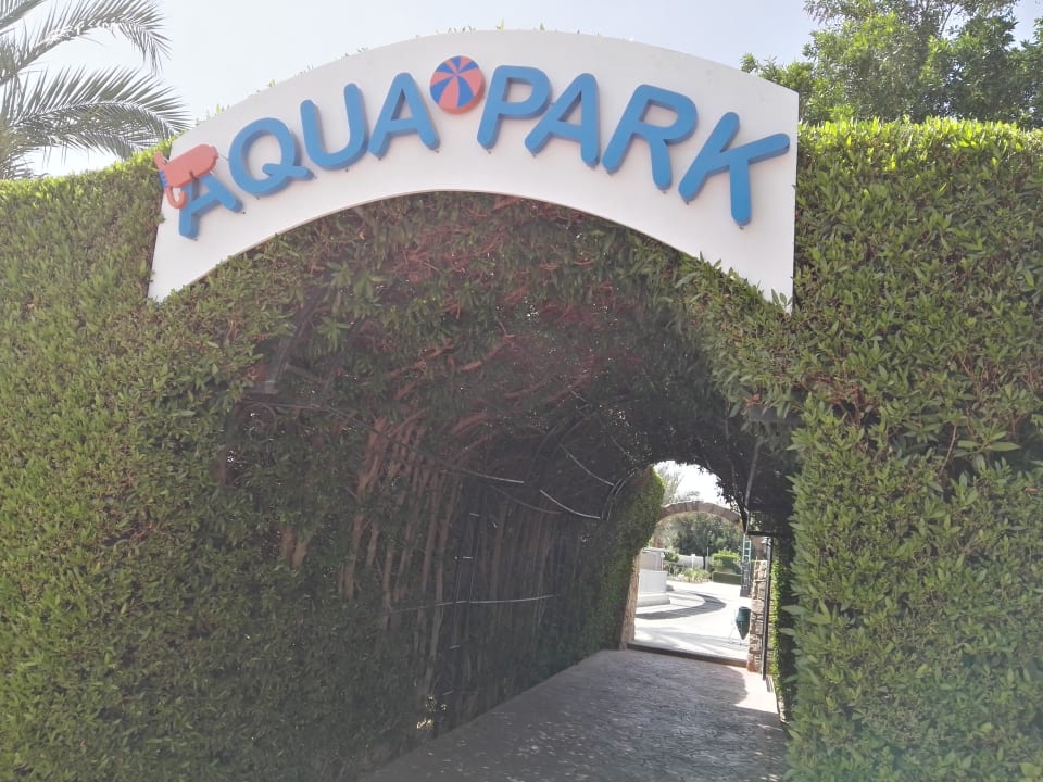 Sport & Freizeit Desert Rose