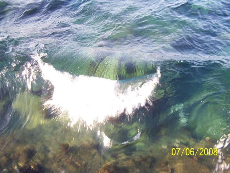 die perfekte Welle Three Corners Sea Beach Resort