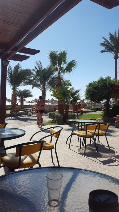 Gastro Imperial Shams Abu Soma