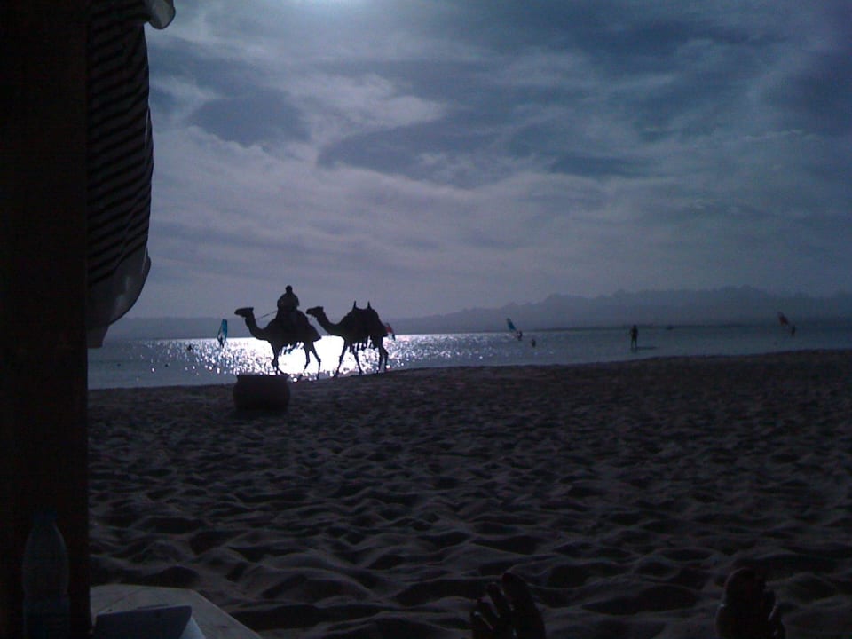 Nachmittagsstimmung am Strand Hotel Kempinski Soma Bay