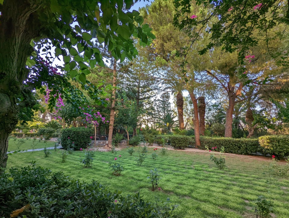 Gartenanlage Apollonia Beach Resort & Spa