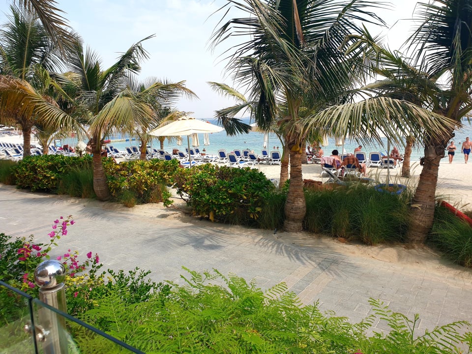 Gartenanlage DoubleTree by Hilton Resort & Spa Marjan Island