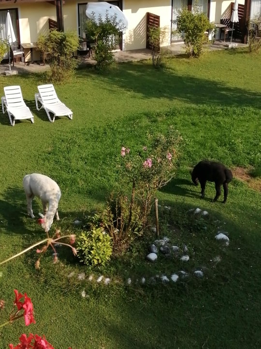 Gartenanlage Sporthotel Wilder Kaiser