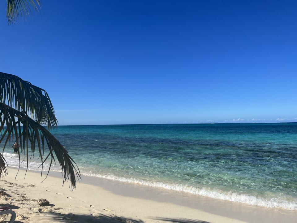 Strand Paradisus Rio de Oro Resort & Spa - Adults only