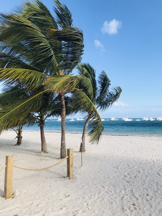 Strand Lopesan Costa Bávaro Resort, Spa & Casino