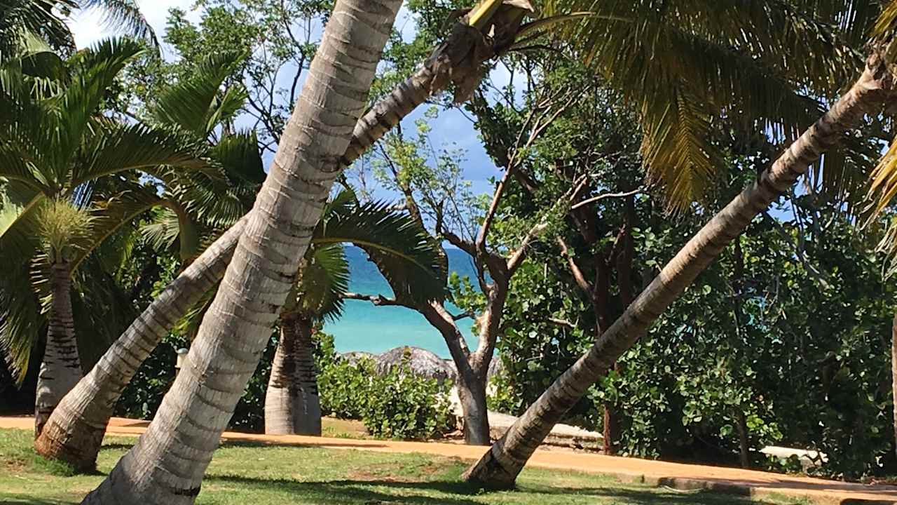 Gartenanlage Sirenis Tropical Varadero