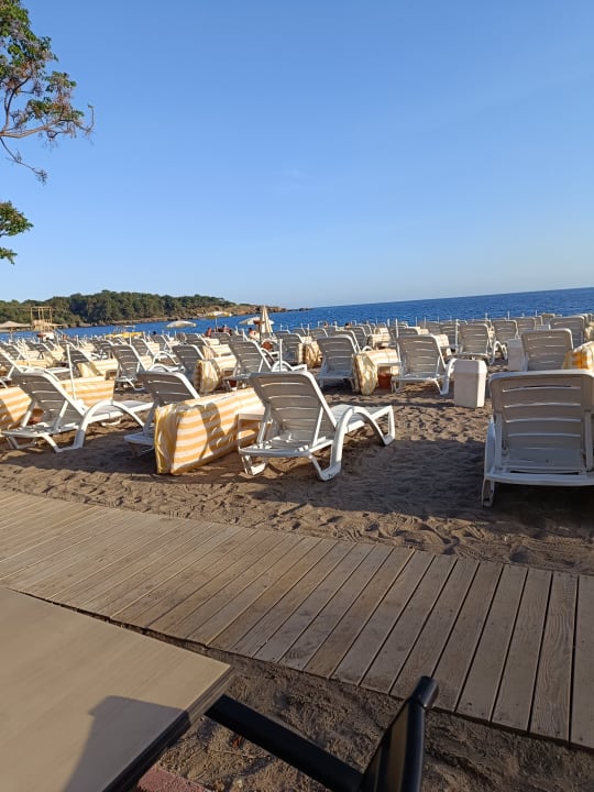 Strand Hotel Gardenia Beach