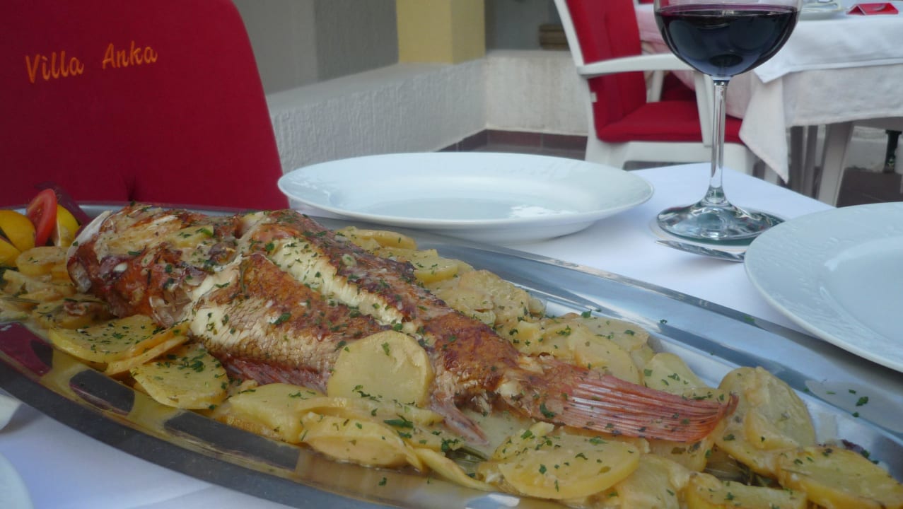 Drachenkopf Pension Gasthaus Villa Anka