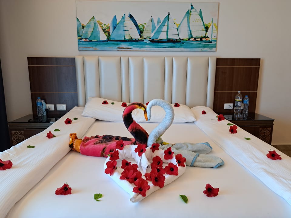 Zimmer Pickalbatros Palace Resort