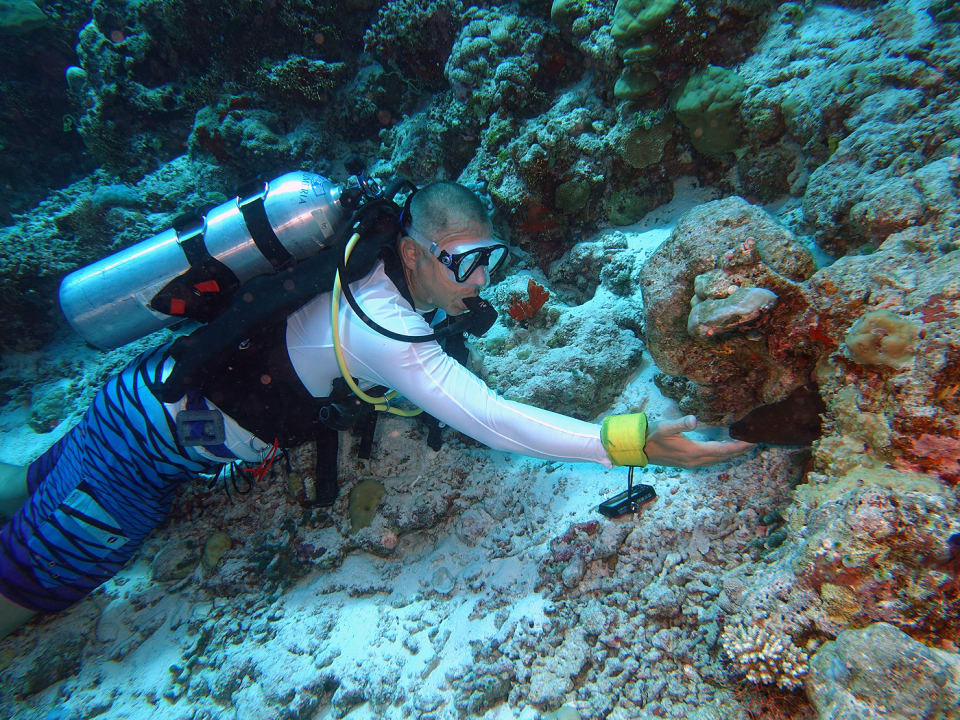 Sport & Freizeit Plumeria Maldives