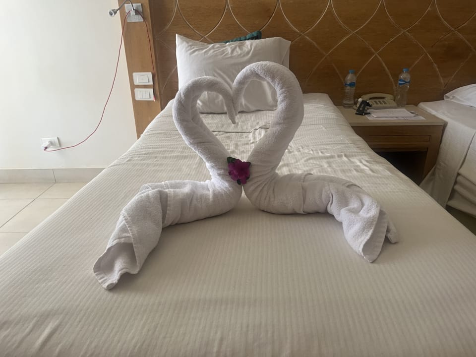 Zimmer Shams Alam Beach Resort