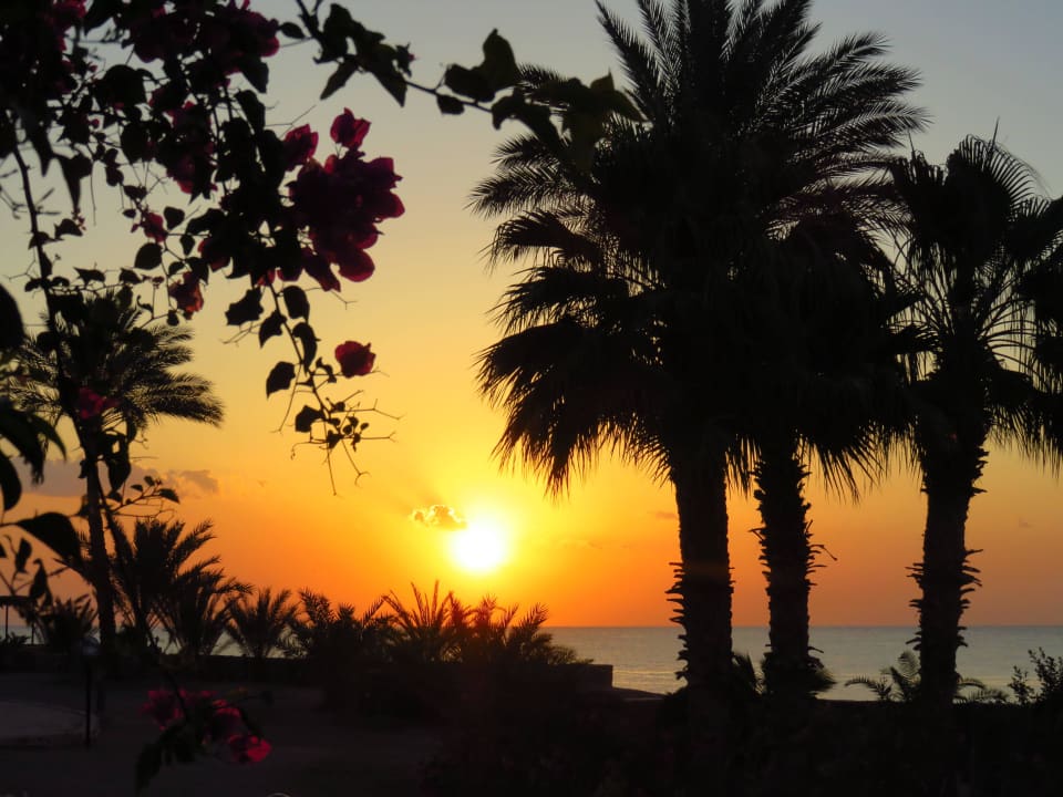 Sonnenaufgang Steigenberger Coraya Beach - Adults only