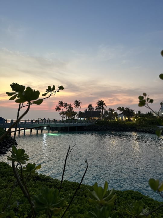 Gartenanlage SAii Lagoon Maldives, Curio Collection by Hilton