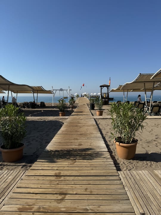 Strand Sherwood Exclusive Lara