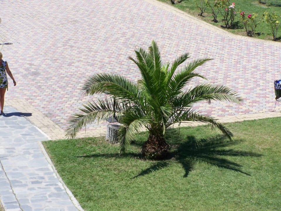 Grecja Siviris Hotel Jenny