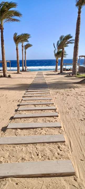 Strand Steigenberger Resort Alaya Marsa Alam - Red Sea - Adults only
