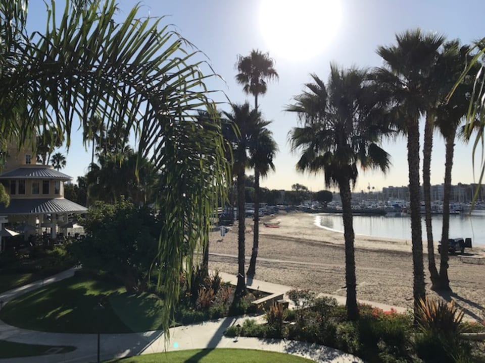 Ausblick Hotel Jamaica Bay Inn