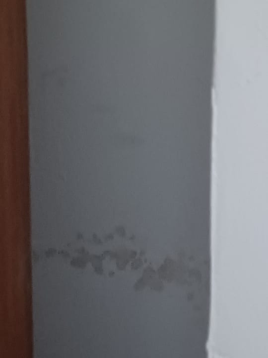 Zimmer Andros Family Club