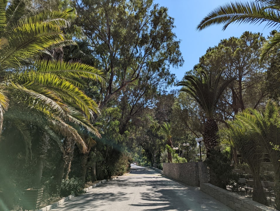 Gartenanlage Apollonia Beach Resort & Spa