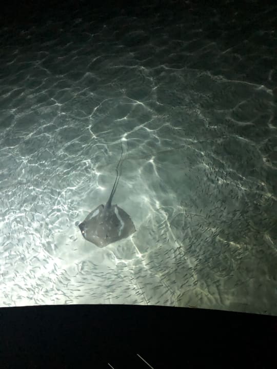 Strand Sun Siyam Olhuveli