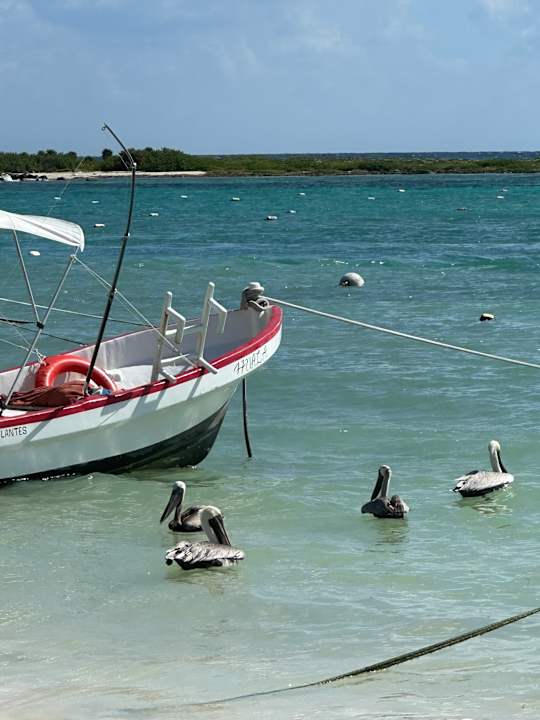 Strand Secrets Akumal Riviera Maya - Adults only