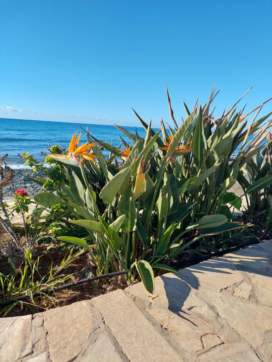 Strand Servatur Playa Bonita