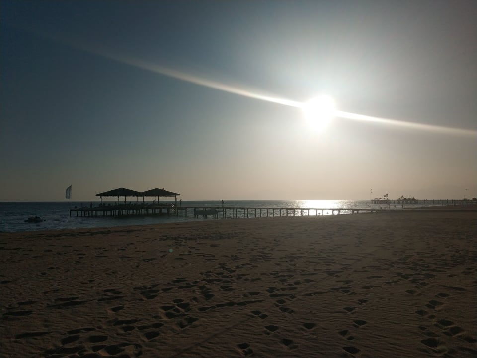 Strand ROBINSON NOBILIS