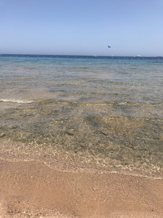Strand Fort Arabesque Resort, Spa & Villas