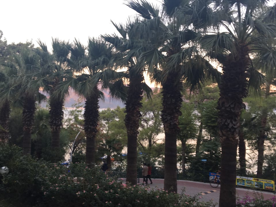 Gartenanlage Labranda Mares Marmaris