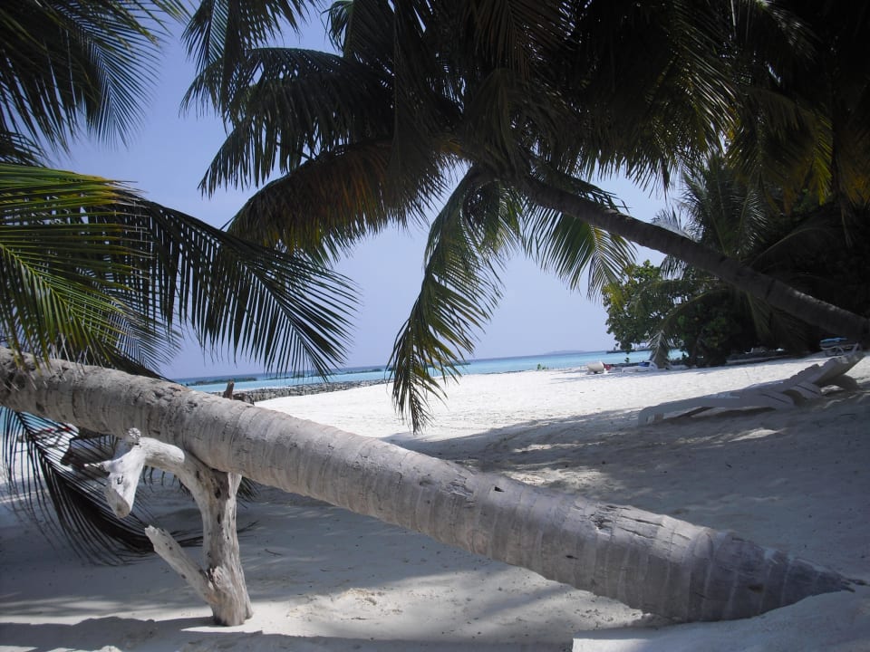 Unser Blick aus dem Bungi Summer Island Maldives