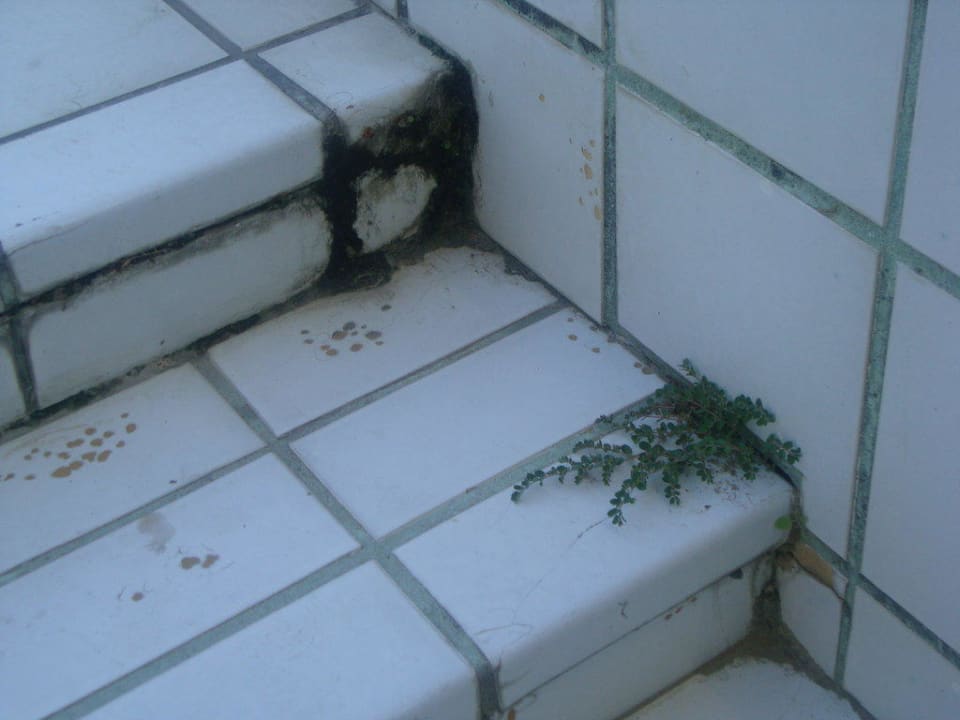 Treppe zum Pool Hotel Florida