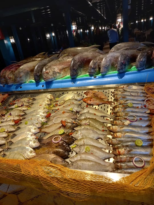 Gastro Club Paradisio El Gouna, Red Sea