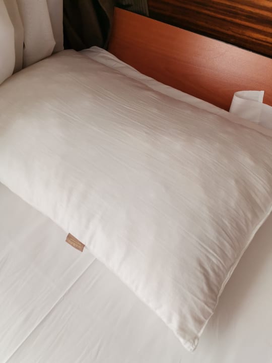 Zimmer Well Palace Side