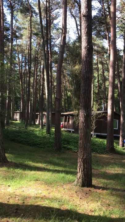 Außenansicht Fynnus - Feriendorf Am Bakenberg
