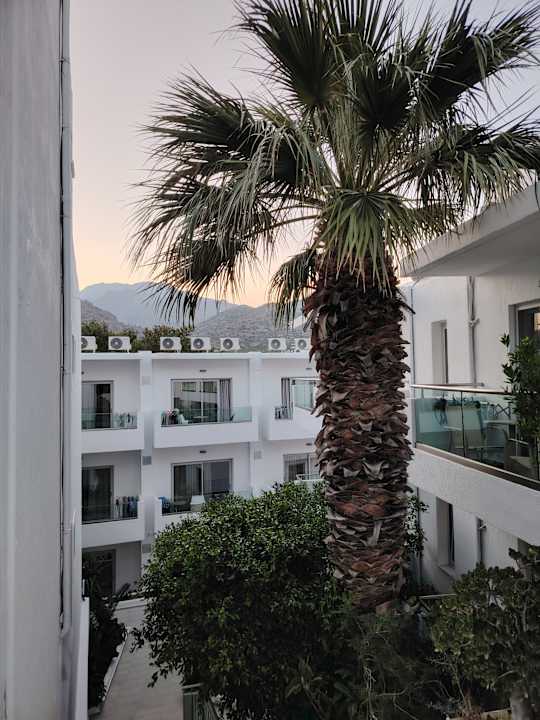 Ausblick Hotel South Coast