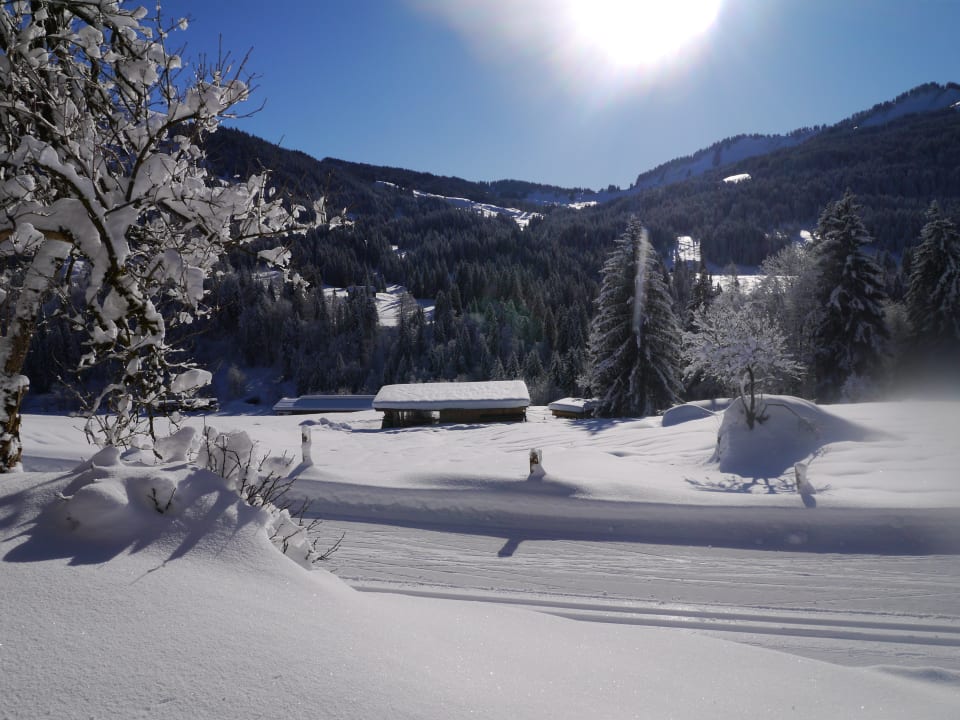 Ausblick Ferienwohnungen Alte Schmiede