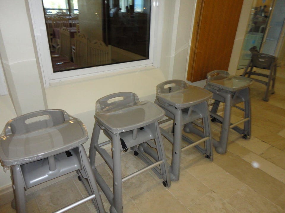 Sentido PALOMA Perissia