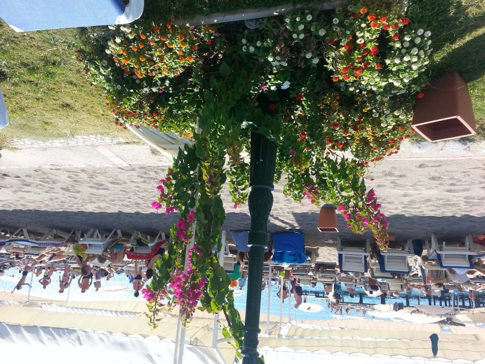 Bepflanzung Ulusoy Kemer Holiday Club