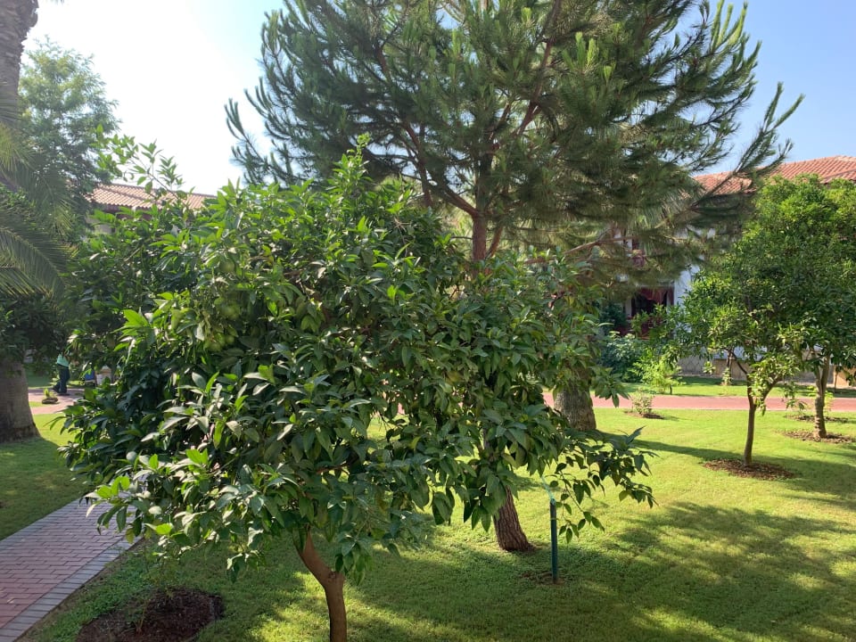 Gartenanlage Ali Bey Club & Park Manavgat