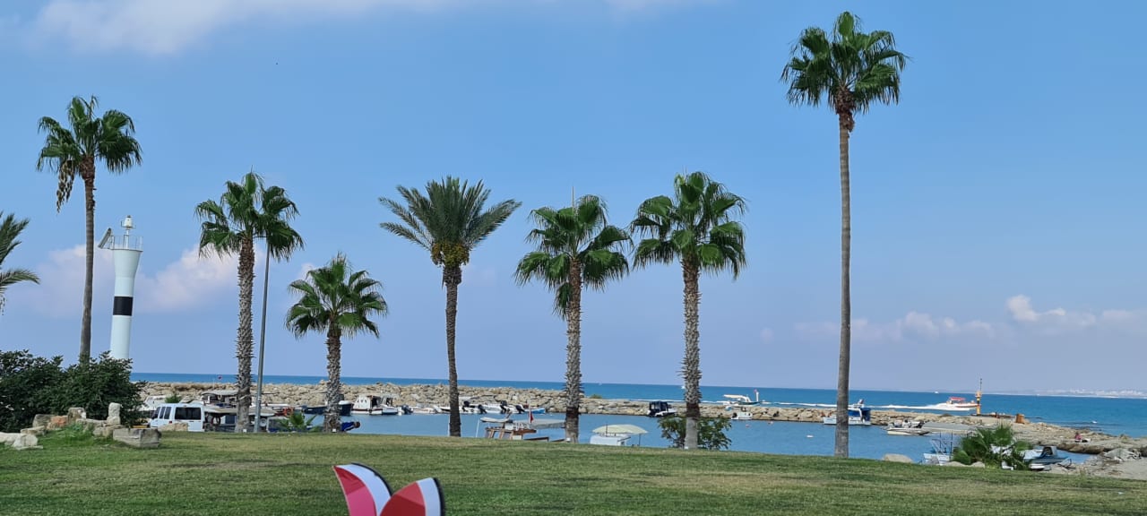 Ausblick Özlem Garden Hotel