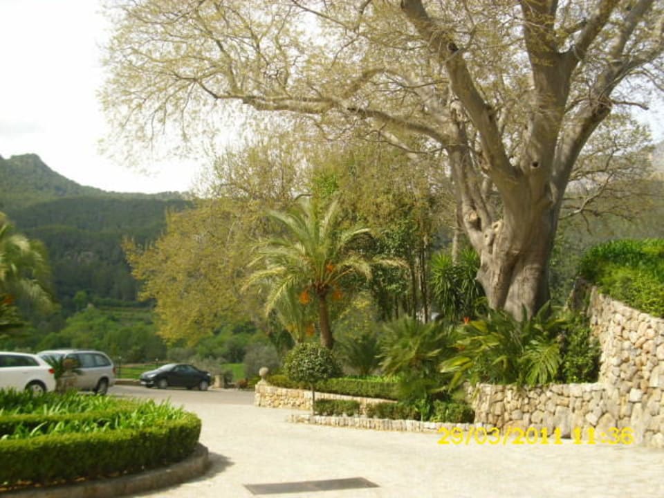 Hotelauffahrt Gran Hotel Son Net