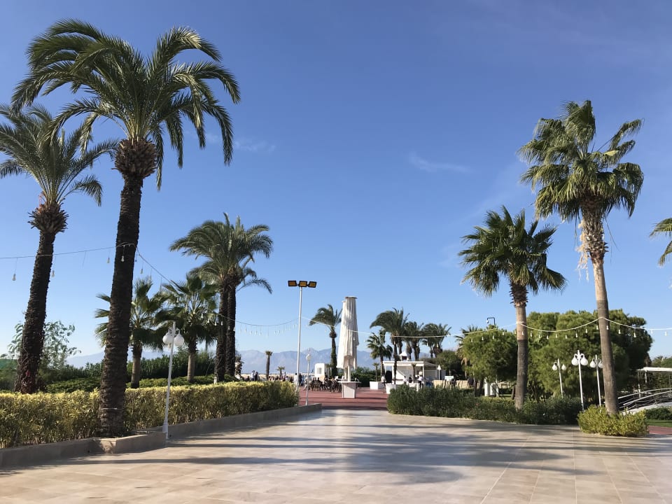 Gartenanlage Hotel Miracle Resort