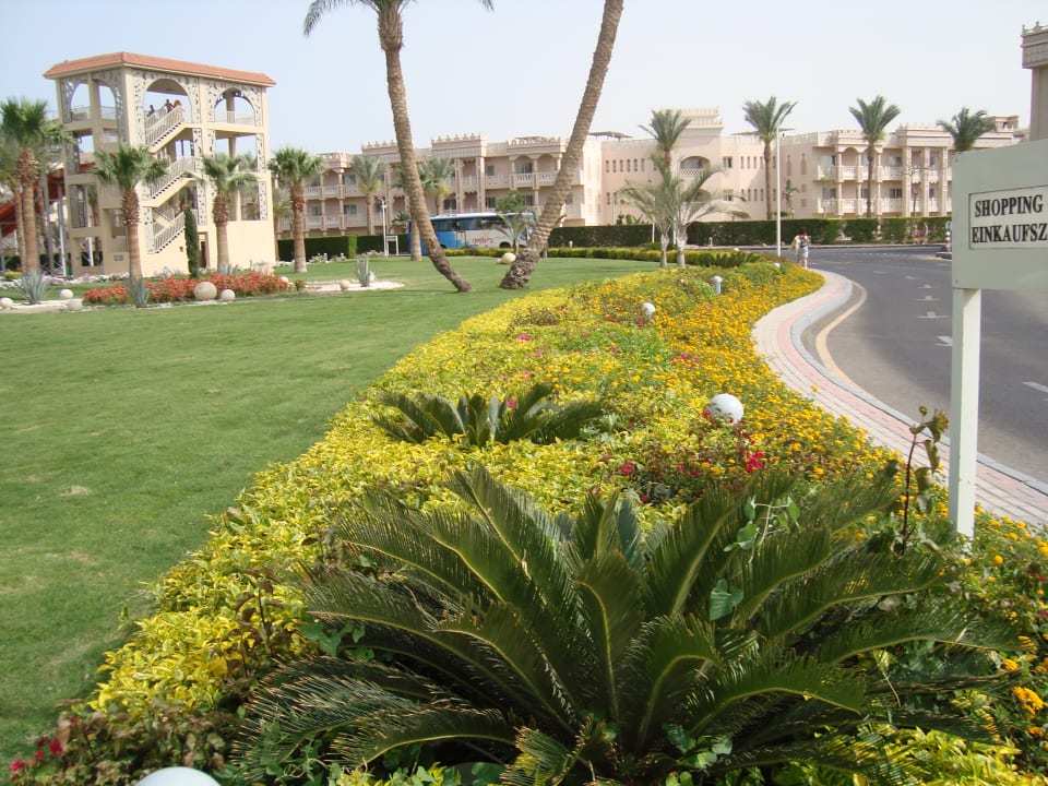 Gartenanlage Beach Albatros Resort