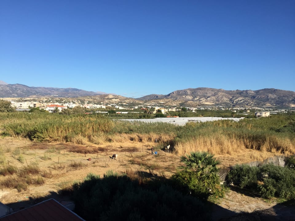 Ausblick Tylissos Beach Hotel