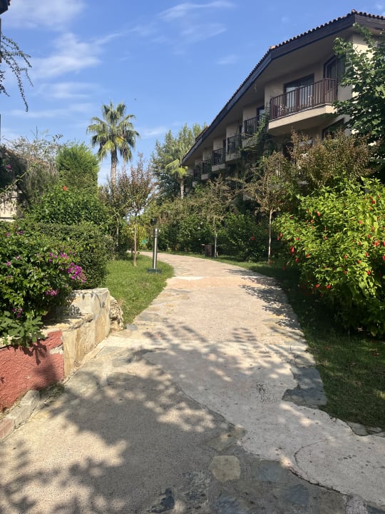 Gartenanlage Alba Resort Hotel