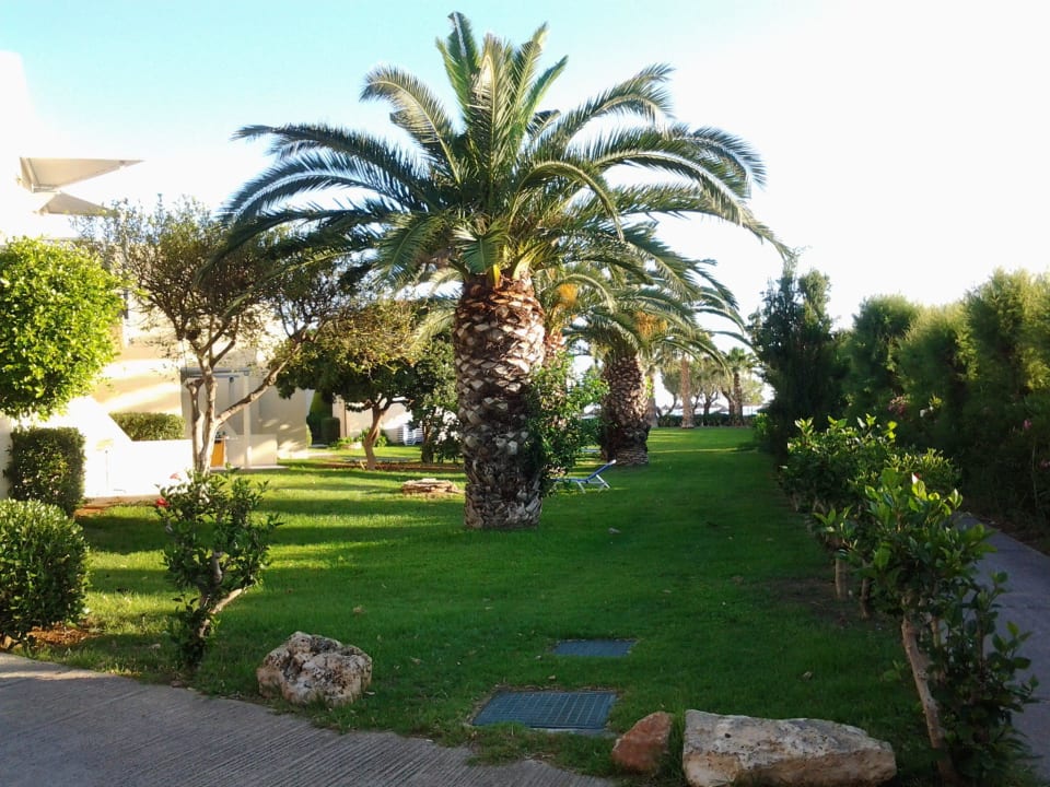 Gepflegter Garten Phãea Cretan Malia